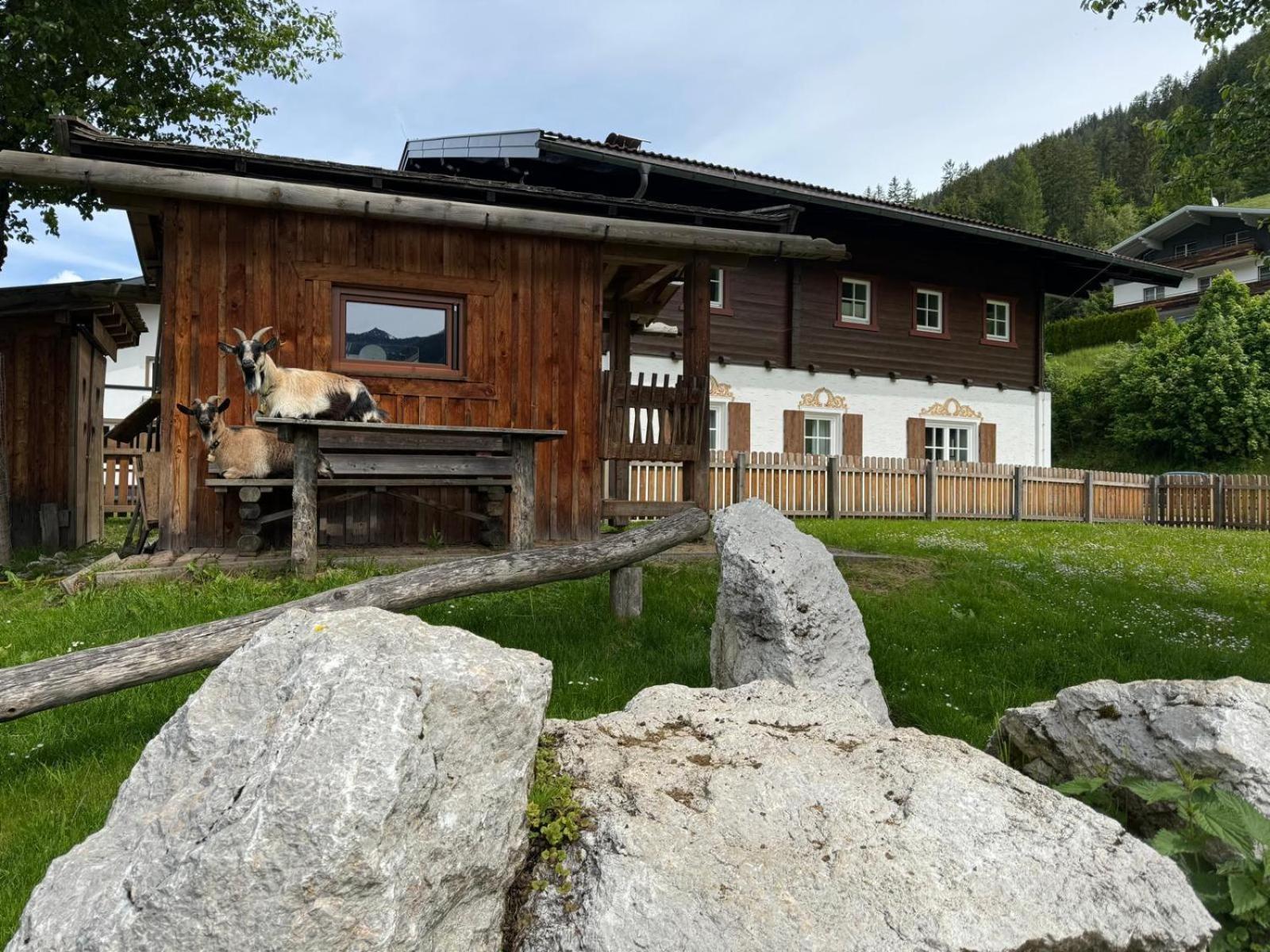 Appartements Zahnleiten Untertauern Exteriér fotografie